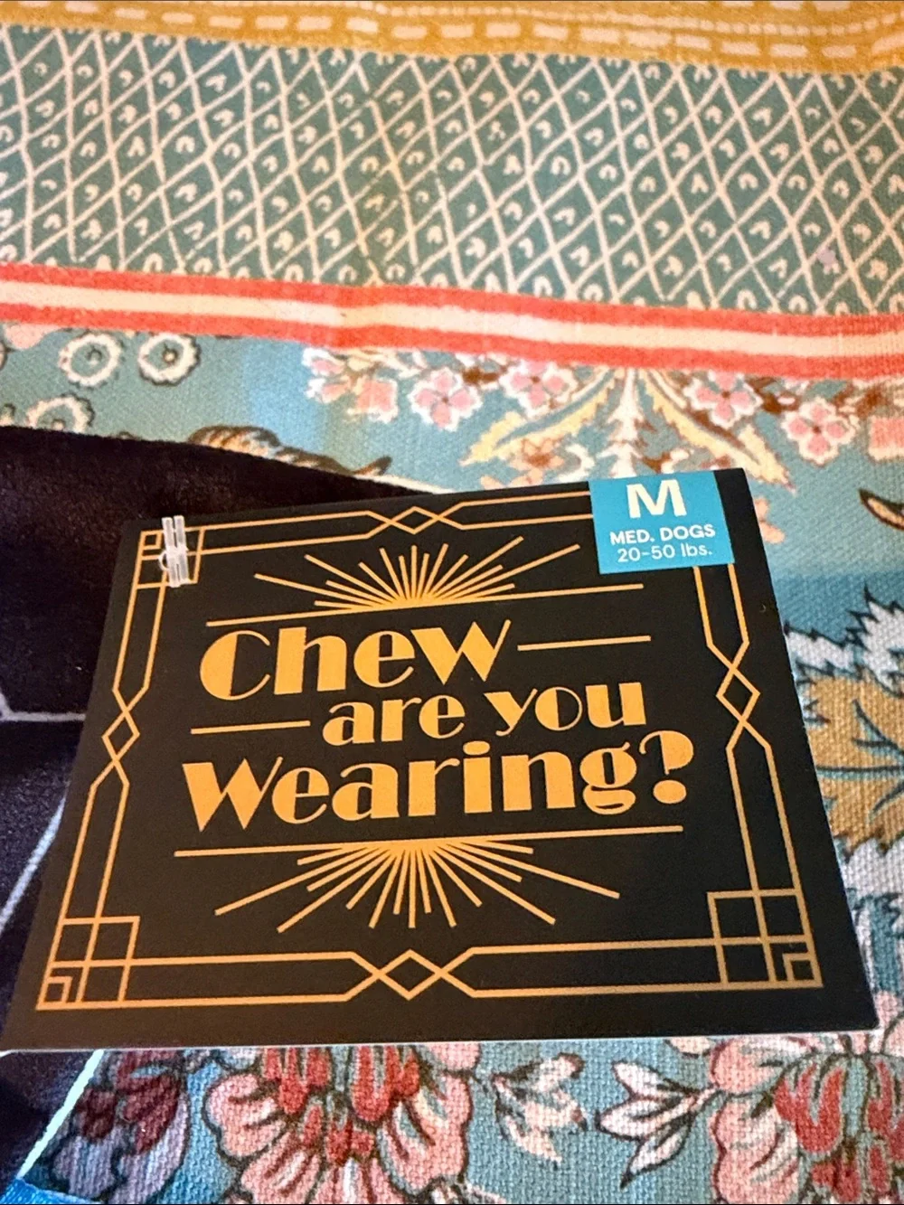 🆕 Bark Chew are you wearing? Reversible Wearable Toy !